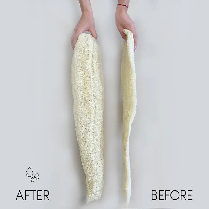 Whole Loofah Flat image 1