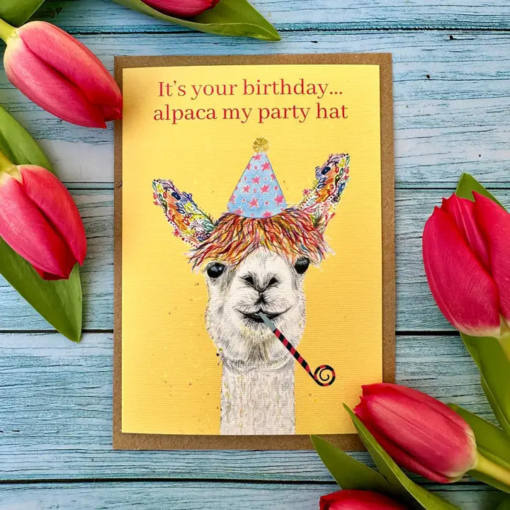 Greetings Cards - Assorted Designs - Eco-Friendly - Birthday-Alpaca image