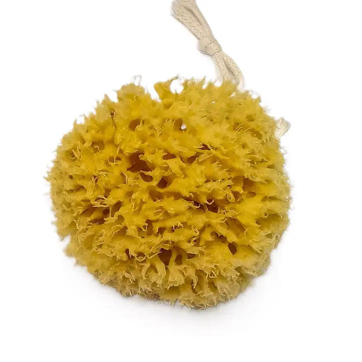 Honeycomb Natural Sea Sponge, Natural Bath Sponge image 1