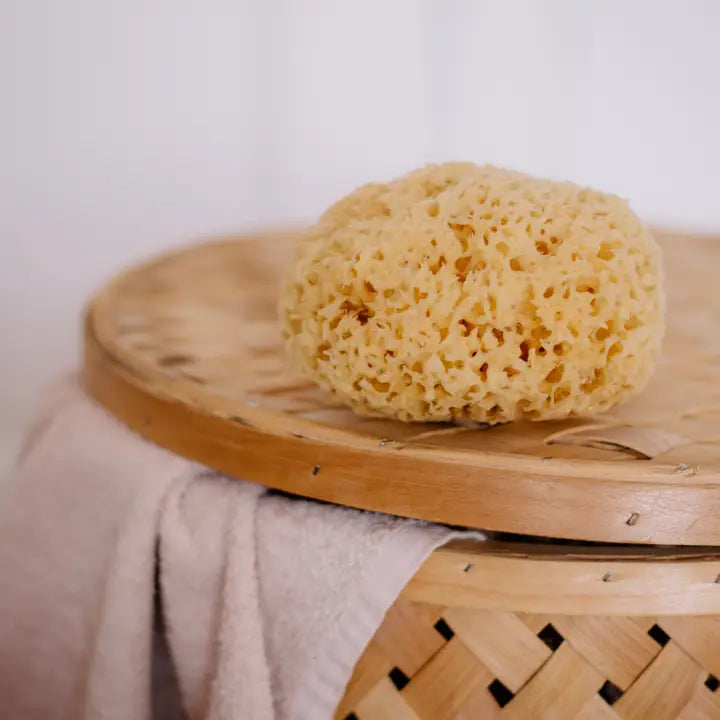 Sustainable Natural Sea Sponge image 1