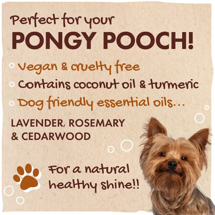 Friendly Soap - Dog's Shampoo - Lavender, Rosemary & Cedarwood image 2