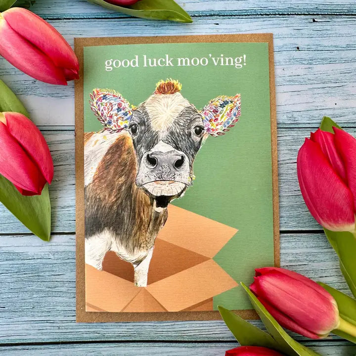 Greetings Cards - Assorted Designs - Eco-Friendly - New Home-Cow image