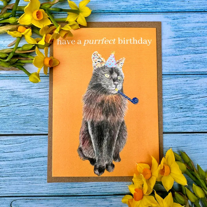 Greetings Cards - Assorted Designs - Eco-Friendly - Birthday-Cat image