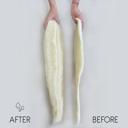 Whole Loofah Flat image 0