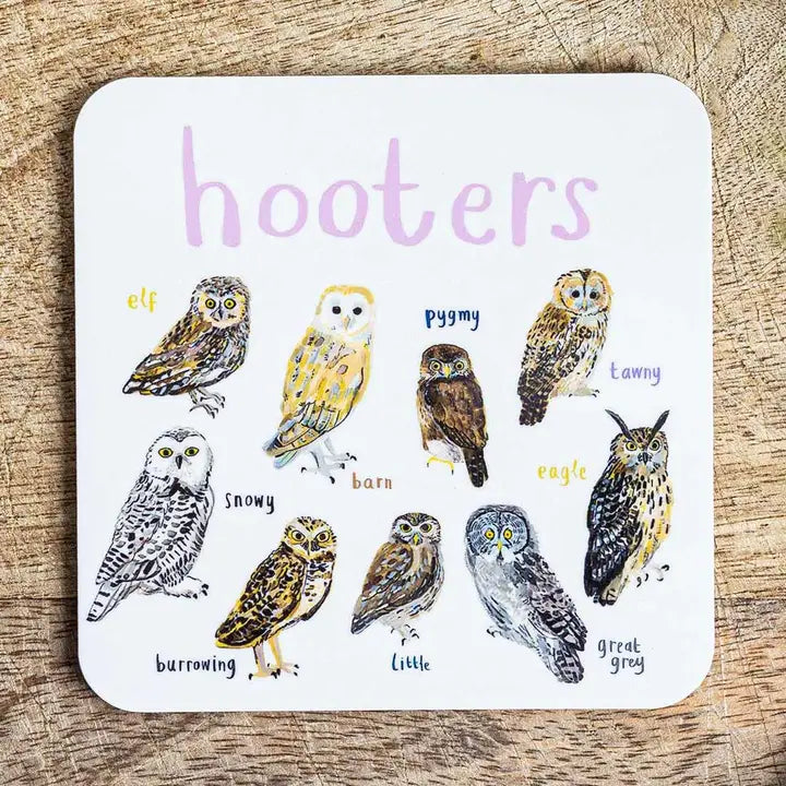 Fun Pun - Coasters - Hooters image
