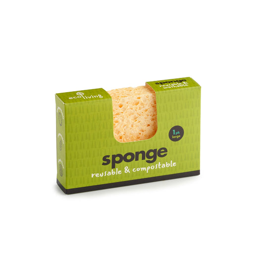 Compostable UK Sponge Large