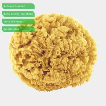 Honeycomb Natural Sea Sponge, Natural Bath Sponge image 2