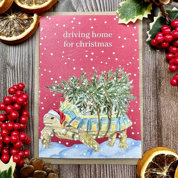 Greetings Cards - Assorted Designs - Eco-Friendly - Xmas-Tortoise image