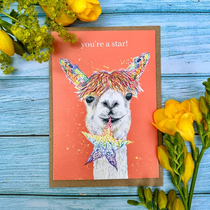 Greetings Cards - Assorted Designs - Eco-Friendly - Blank-Alpaca Star image