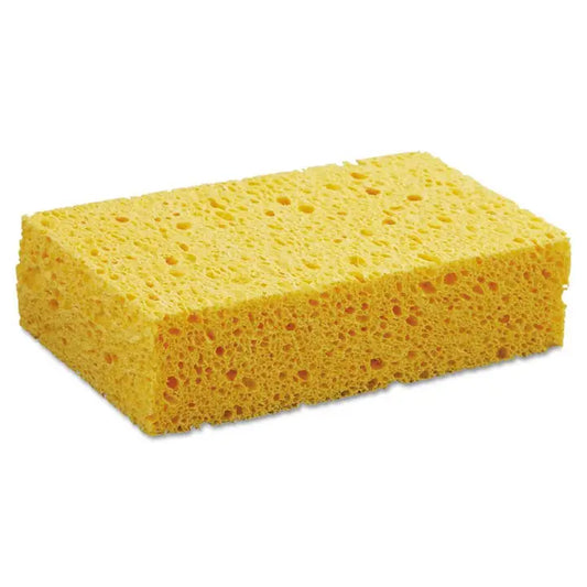 &Keep Reusable Compostable Yellow Household Sponge